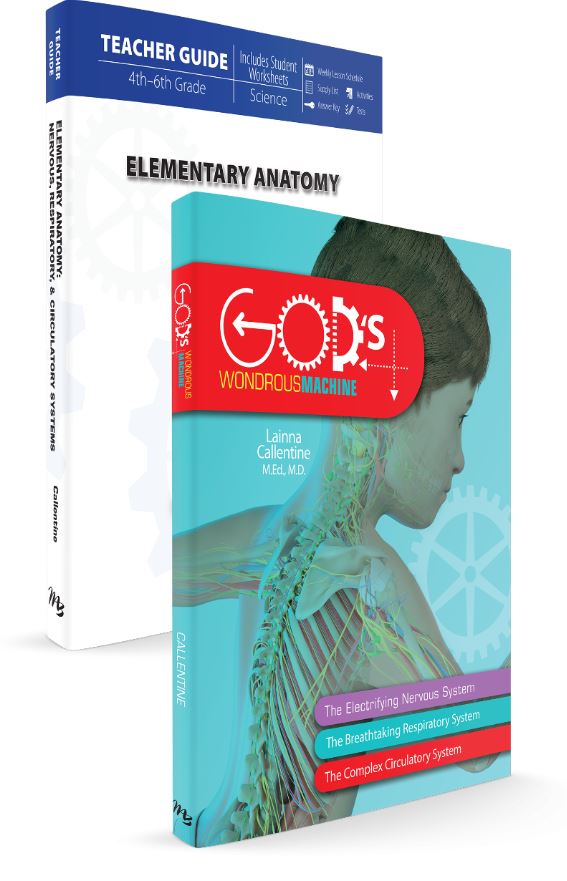 Elementary Anatomy Set (God'S Wondrous Machine) - Re-vived