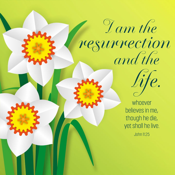 I Am The Resurrection Easter Cards (Pack of 5) - Re-vived