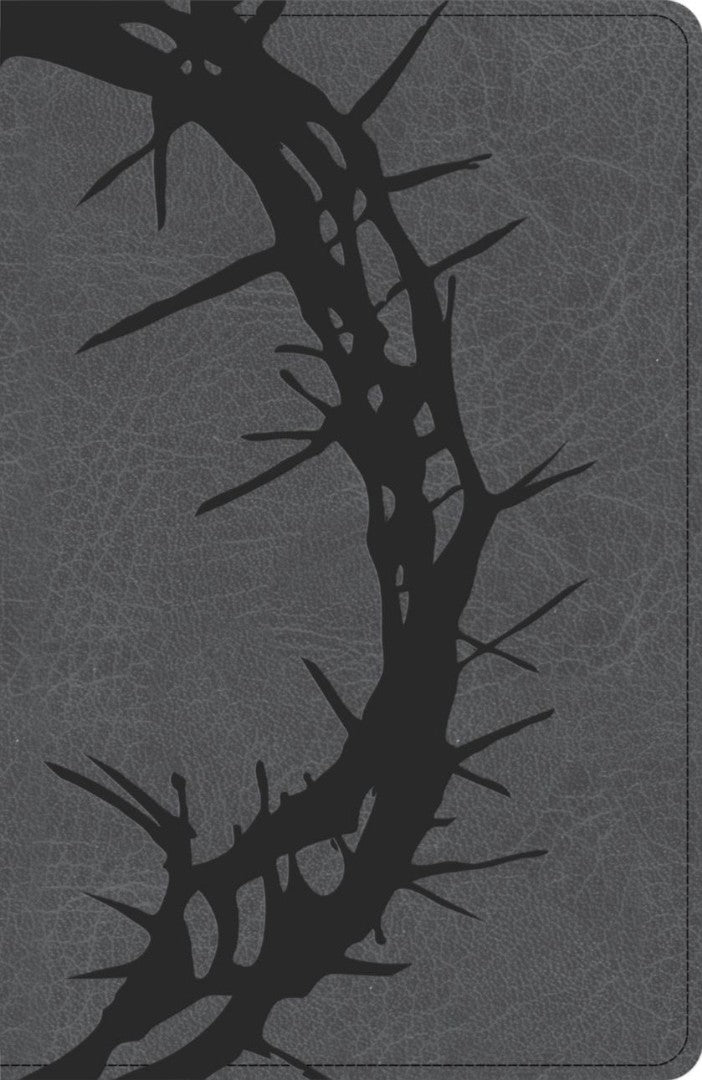 NASB Large Print Personal Size Reference Bible, Charcoal