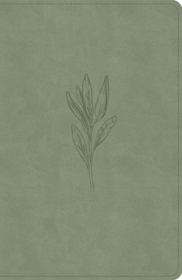 NASB Large Print Personal Size Reference Bible, Sage - Re-vived