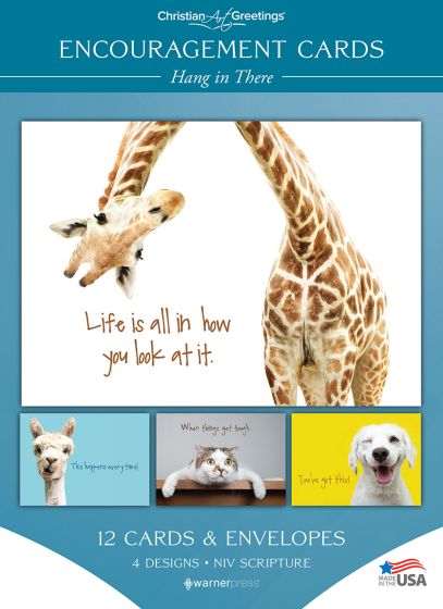 Boxed Cards - Encouragement - Hang In There (Box of 12)