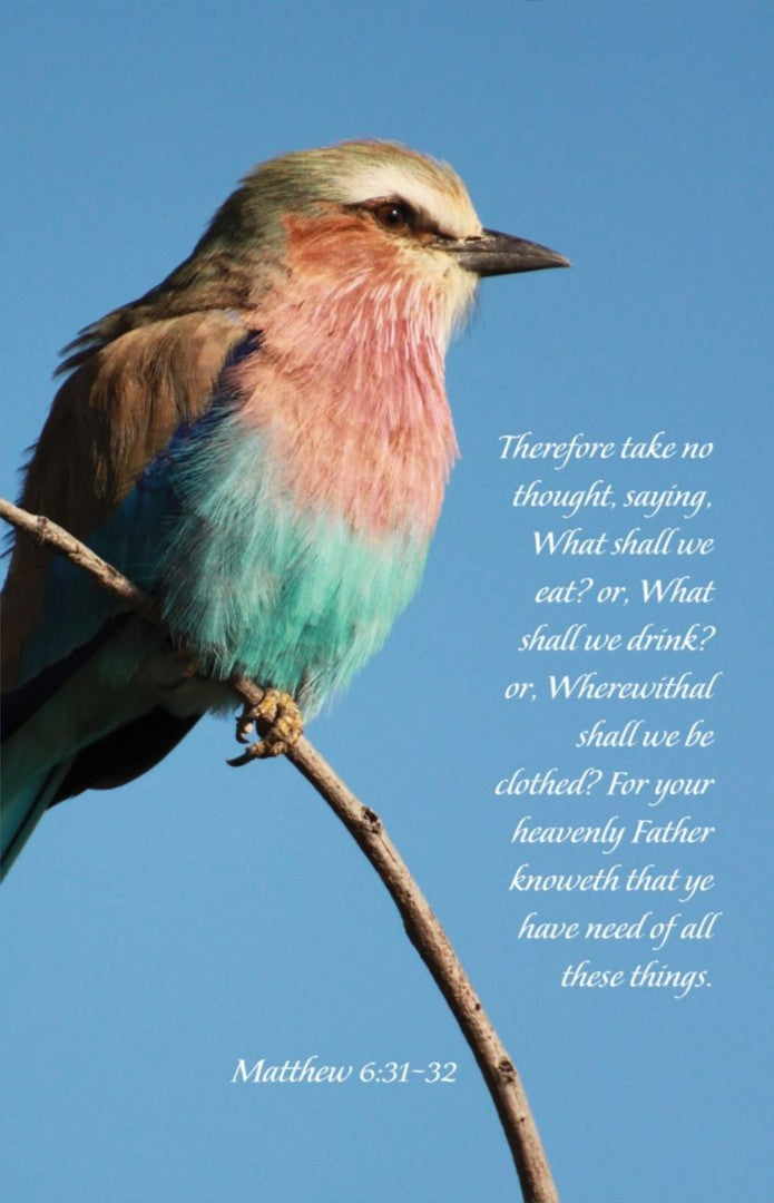 Your Heavenly Father Knoweth Bulletin (100 Pack) - Re-vived