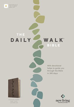 Daily Walk Bible NLT (Stepping Stones Dark Taupe)