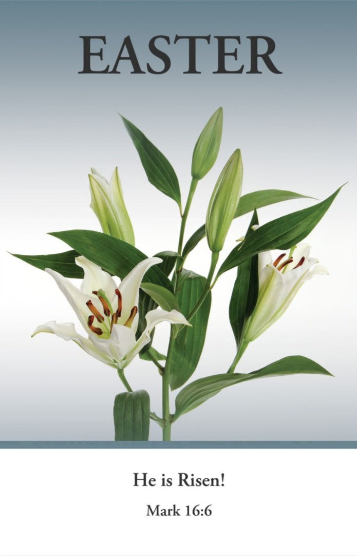 Easter Bulletin: He Is Risen (Package of 100) - Re-vived