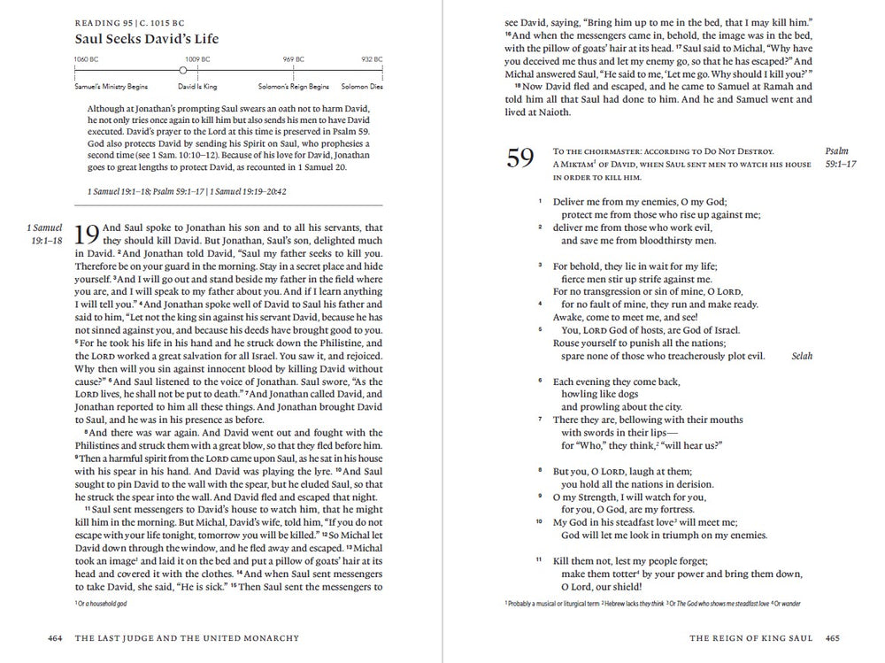 ESV Chronological Bible (Trutone, Paris Sky, Fleur-De-Lis) - Re-vived