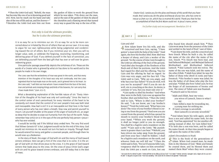 ESV Everyday Gospel Bible - Re-vived