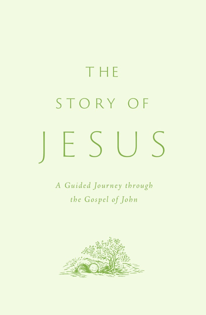 The Story of Jesus - Re-vived
