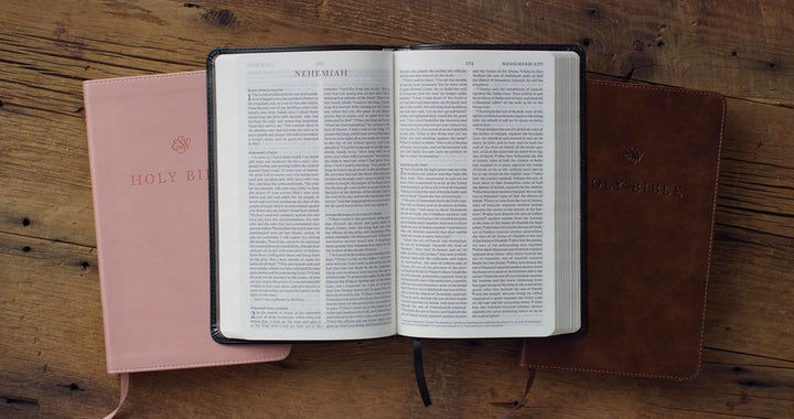 ESV Premium Church Bible, Black