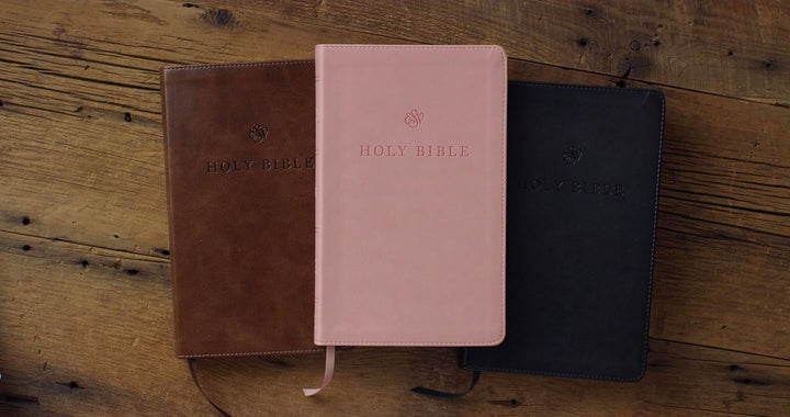 ESV Premium Church Bible, Blush Rose