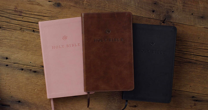 ESV Premium Church Bible, Brown