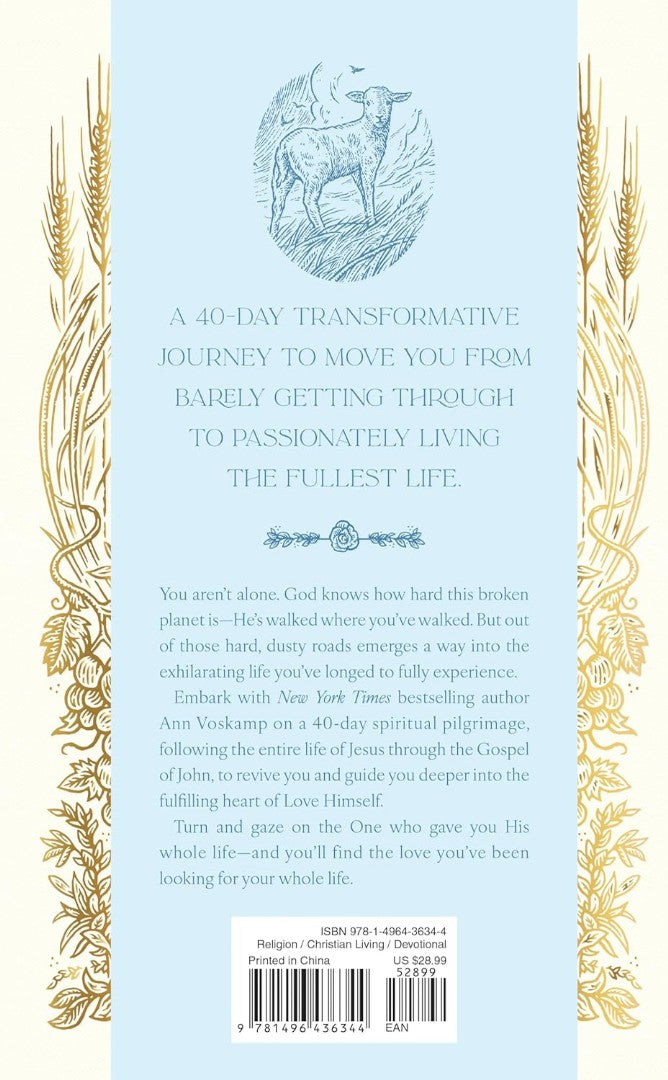 Loved to Life - Re-vived