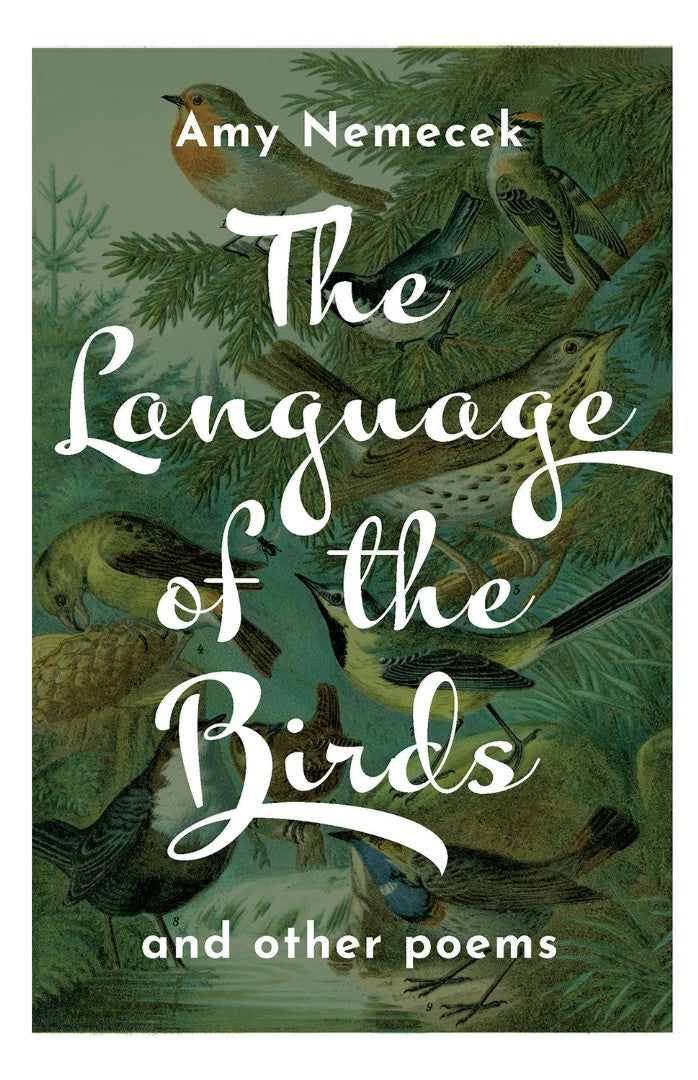 The Language of the Birds - Re-vived