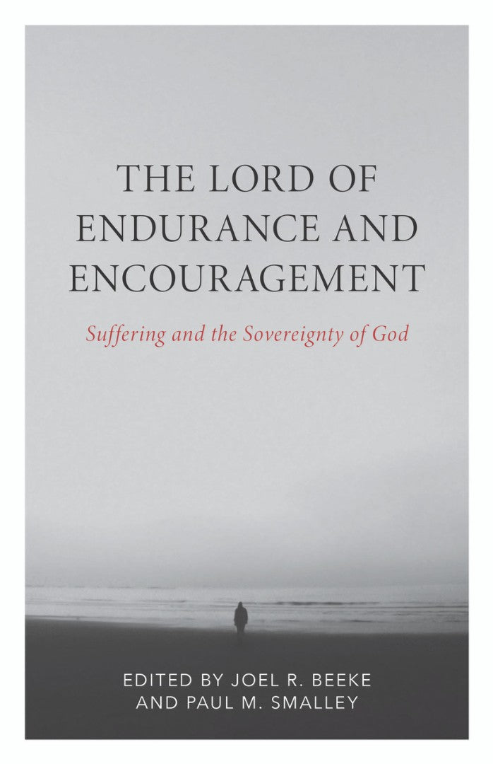 The Lord of Endurance and Encouragement - Re-vived