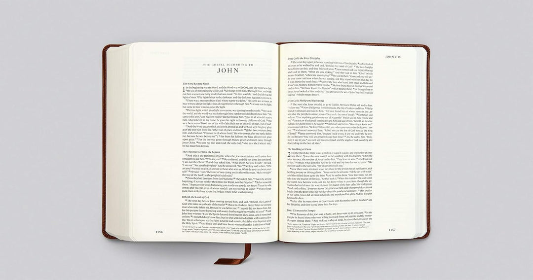ESV Single Column Journaling Bible, Chestnut, Leaves - Re-vived