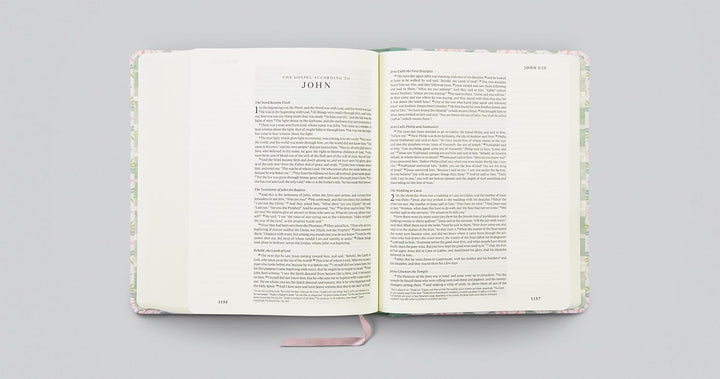 ESV Single Column Journaling Bible, Artist Series - Re-vived