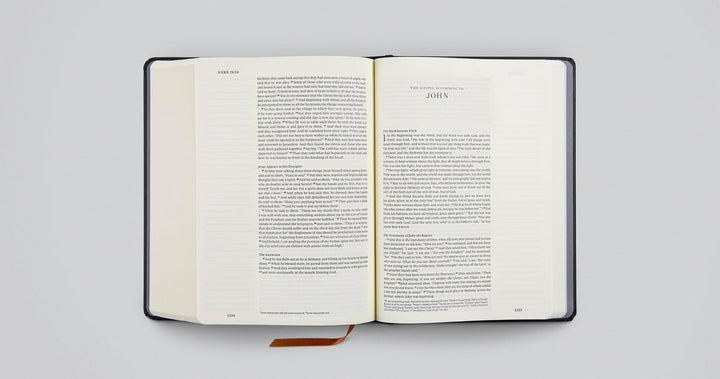 ESV Single Column Journaling Bible, Artist Series - Re-vived
