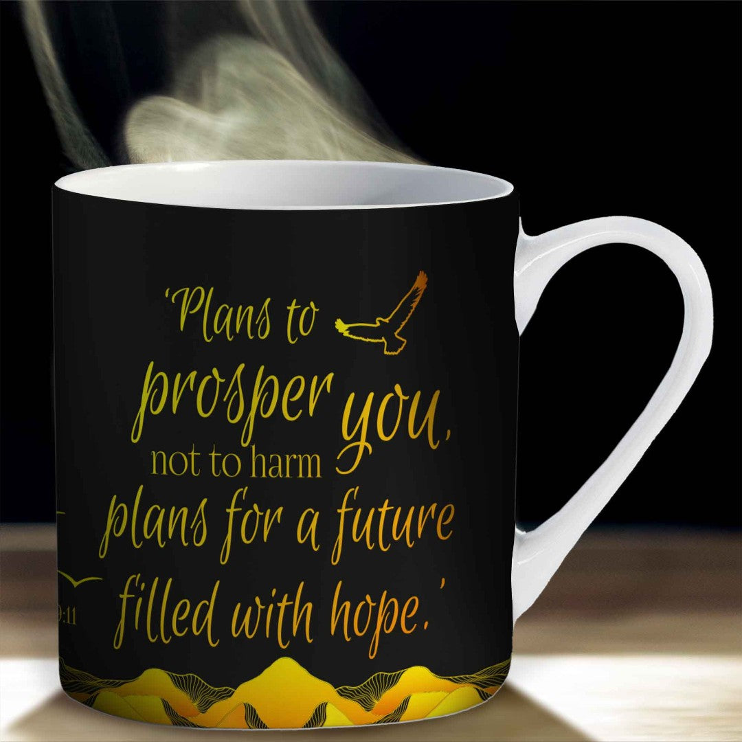 Plans For You Mug & Giftbox