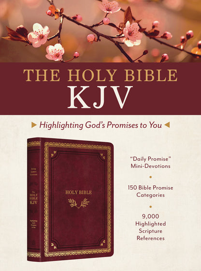 KJV Bible: God's Promises [Crimson/Gold]