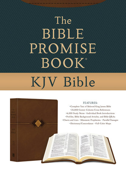 Bible Promise Book Kjv Bible [Diamond]