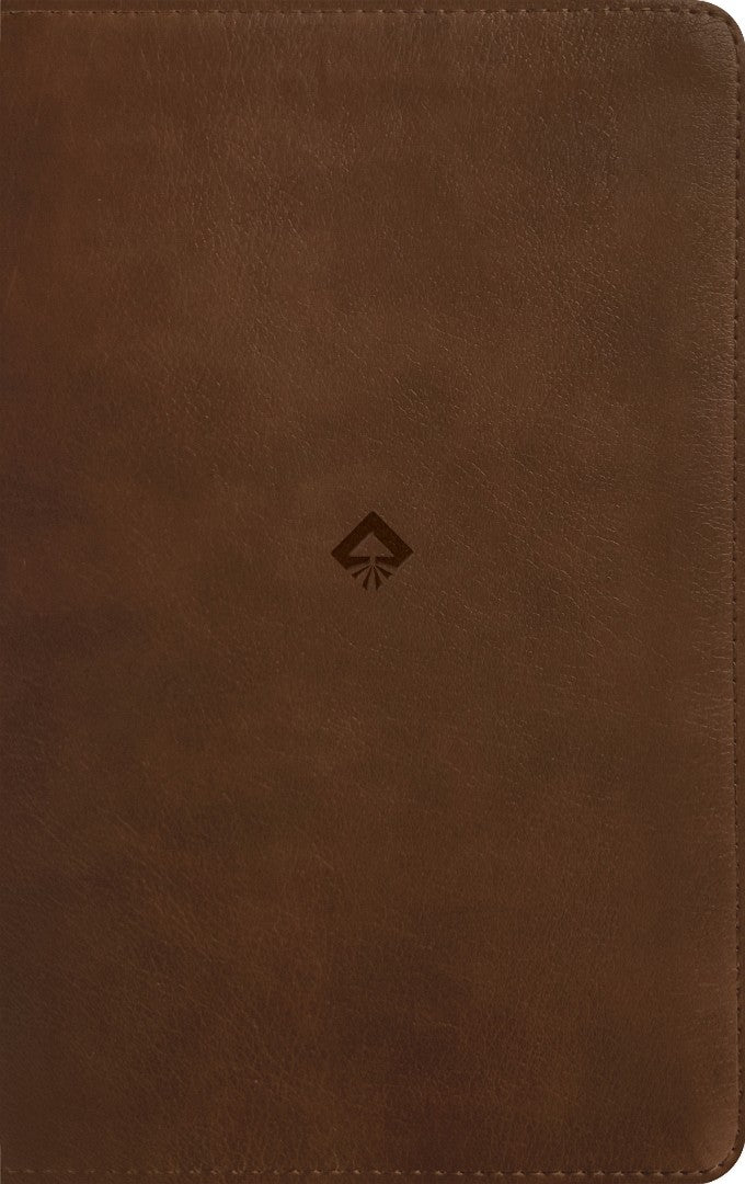 NLT Student Life Application Study Bible, Filament Enabled