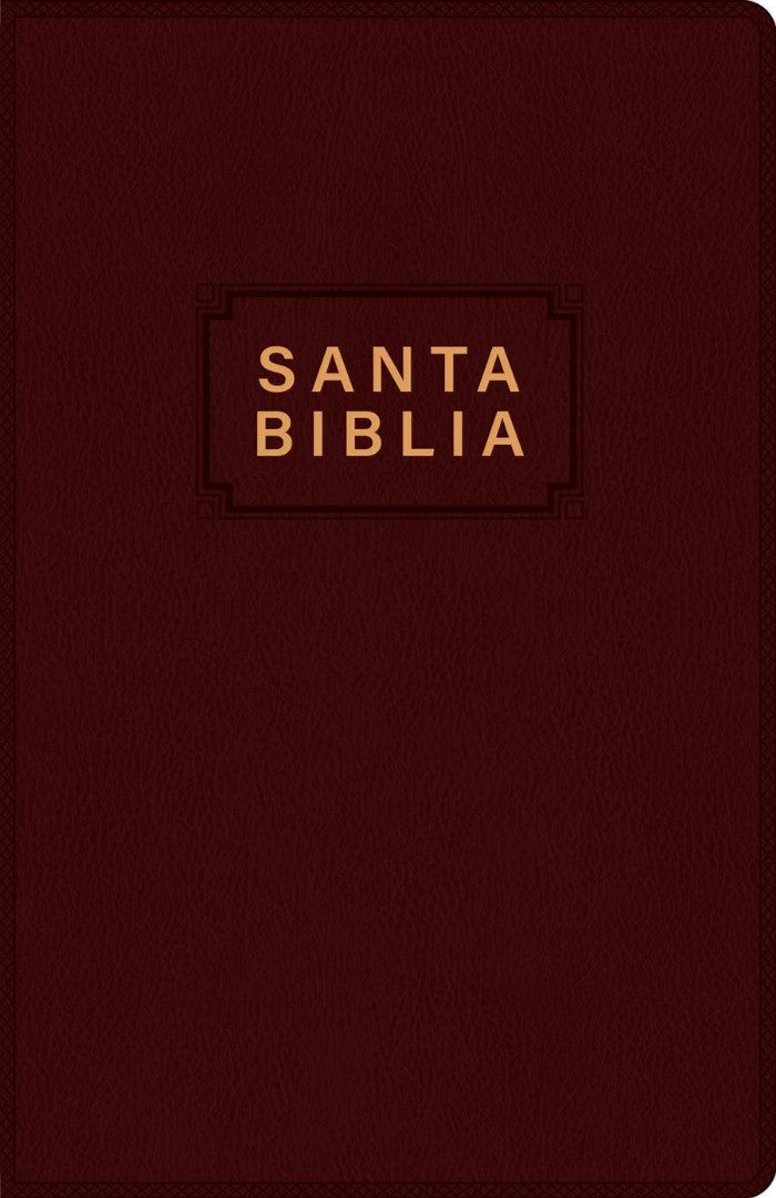 Santa Biblia NTV, Edición Premio Y Regalo, Vinipiel - Re-vived