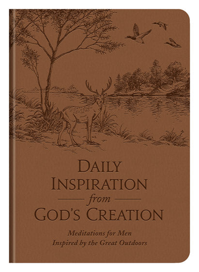 Daily Inspiration From God'S Creation