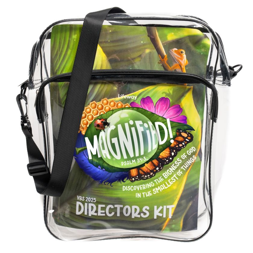 VBS 2025 Directors Kit - Re-vived
