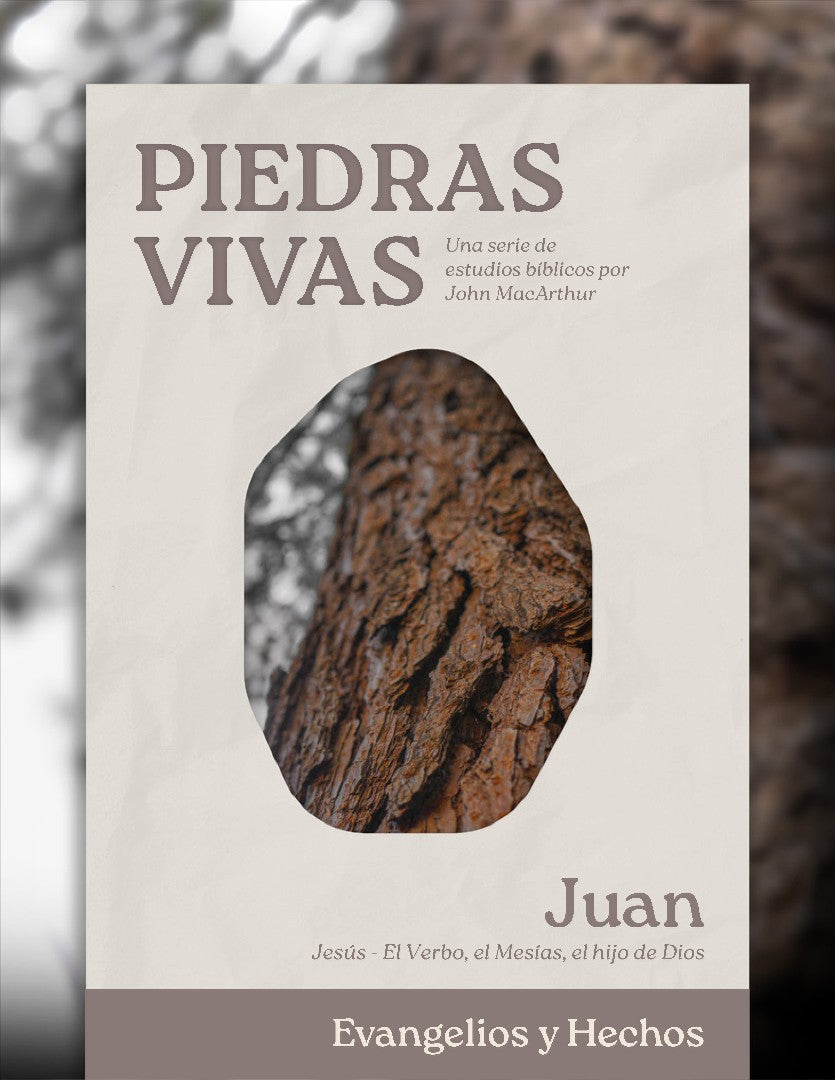 Piedras Vivas: Juan - Estudio Bíblico