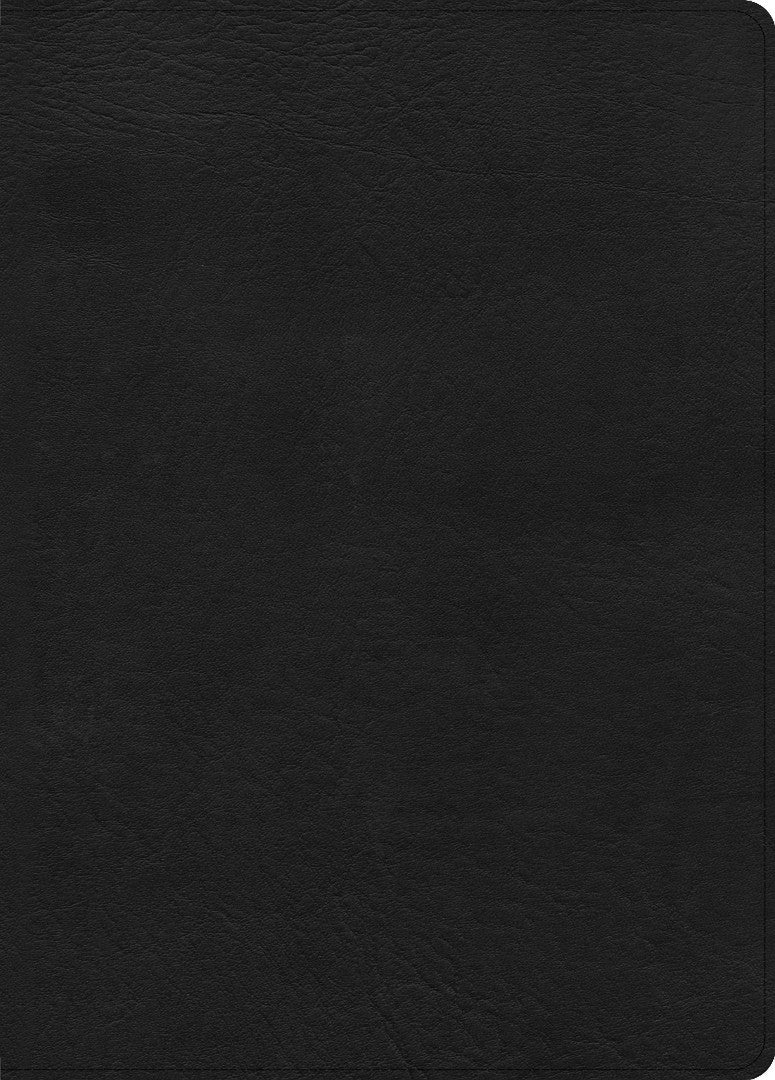 CSB Study Bible, Large Print Edition, Black, Indexed | Re-vived