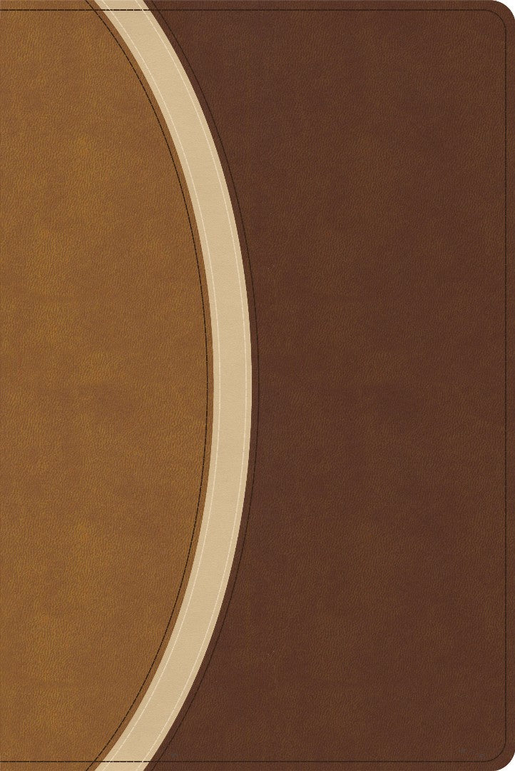 CSB Rainbow Study Bible, Brown Leathertouch