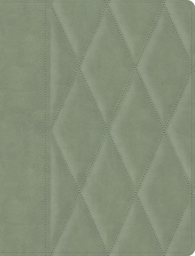 CSB Notetaking Bible, Large Print Edition, Sage Suedesoft