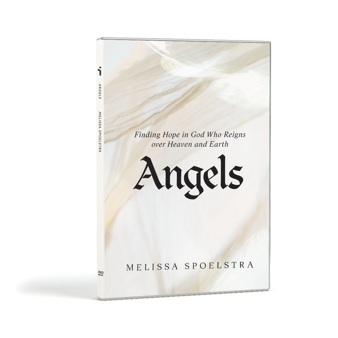 Angels DVD Set