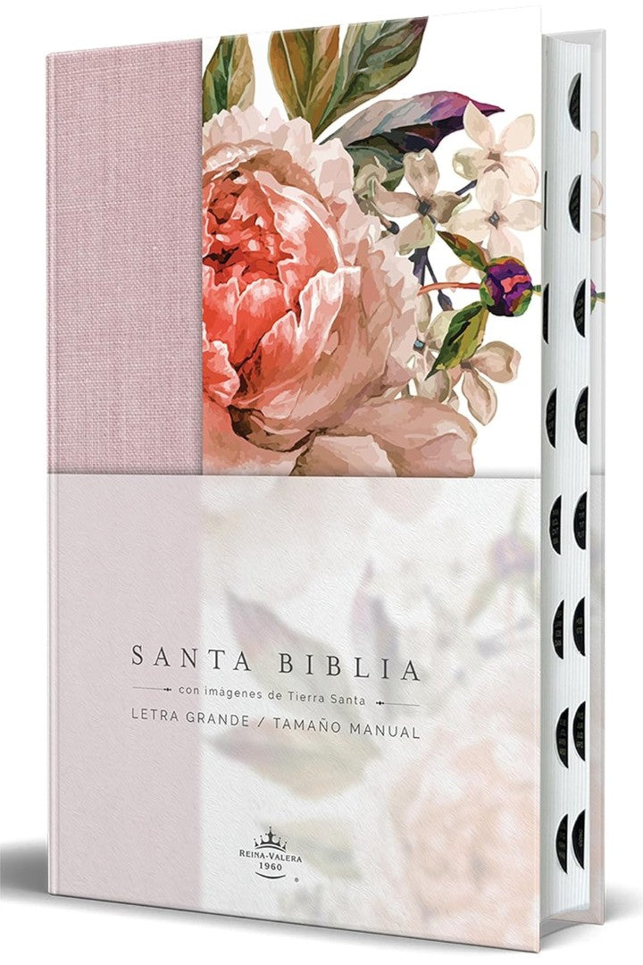 Biblia Reina Valera 1960 Letra Grande