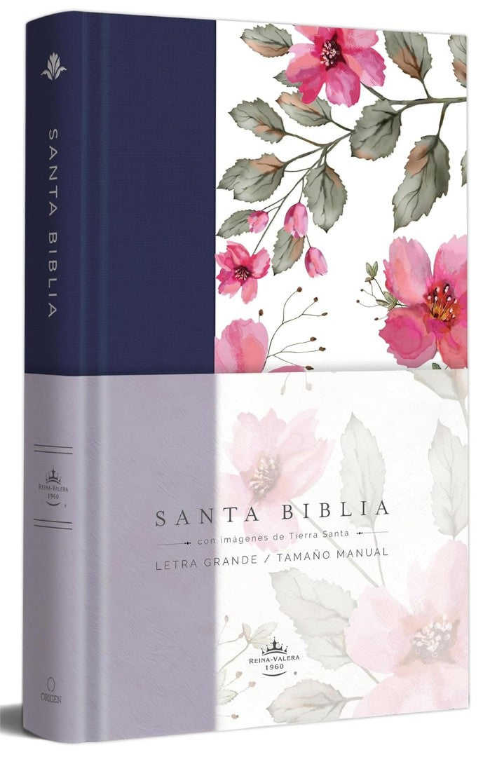 Biblia Rvr 1960 Letra Grande. Tapa Dura Tela Azul PúRpura Co