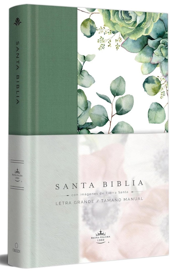 Biblia Rvr 1960 Letra Grande Tapa Dura Y Tela Verde Con Flor