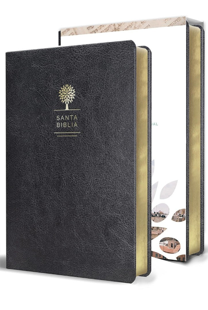 Biblia Reina Valera 1960 Letra Grande. Símil Piel Color