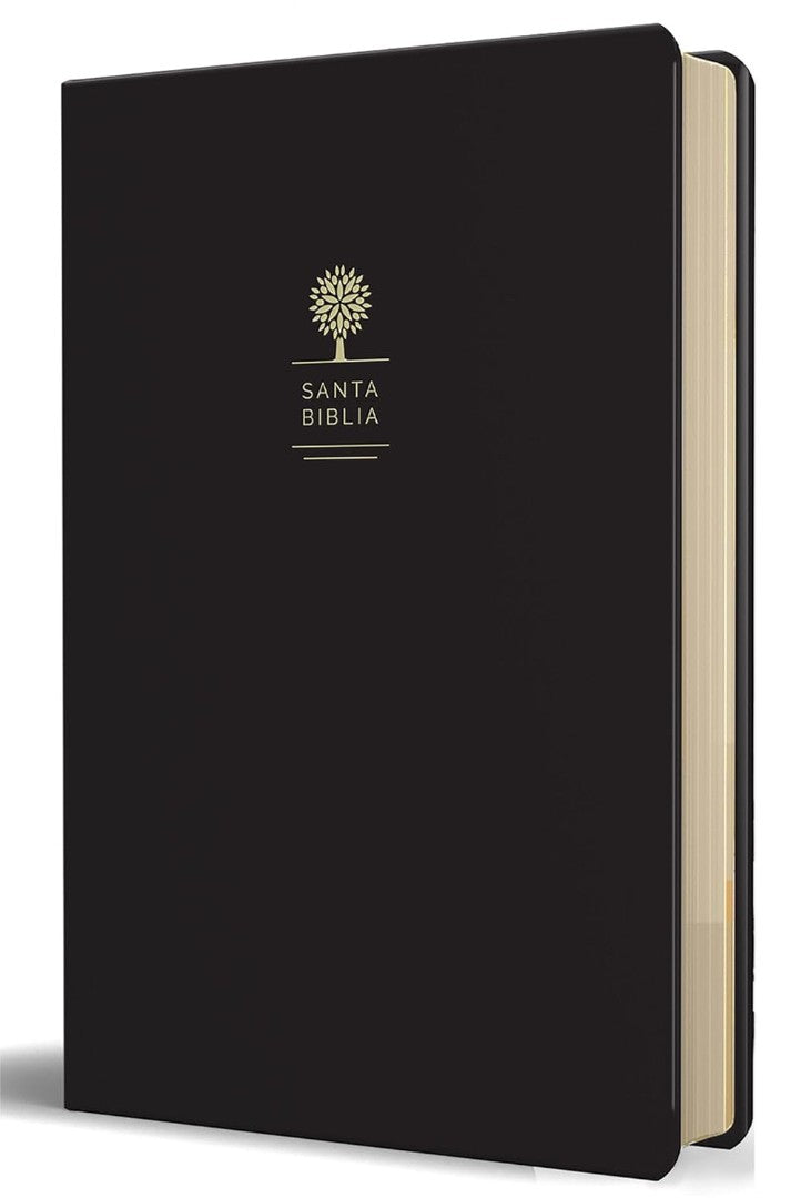 Rvr60 Biblia Tamaño Grande, Letra Grande, Piel Negra