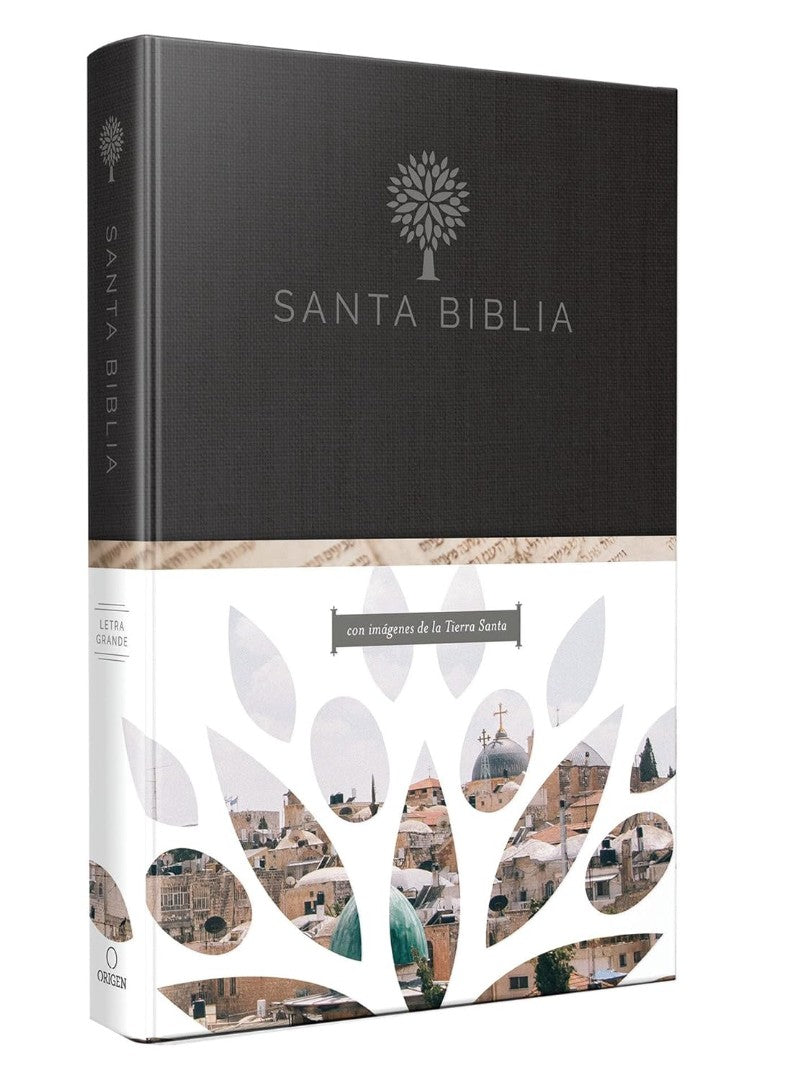 Biblia Reina Valera 1960 Tamaño Grande, Letra Grande