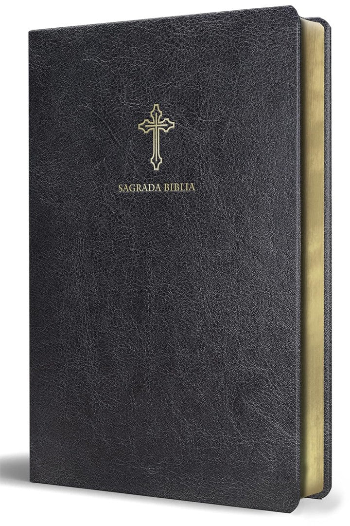 Biblia Católica En Español