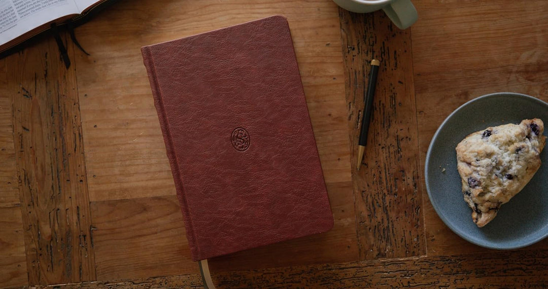 Sing! Hymnal, The (Trutone Over Board, Brown)