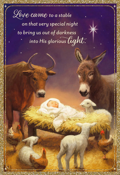 Christmas Cards: Animals At The Manger (Box of 18)