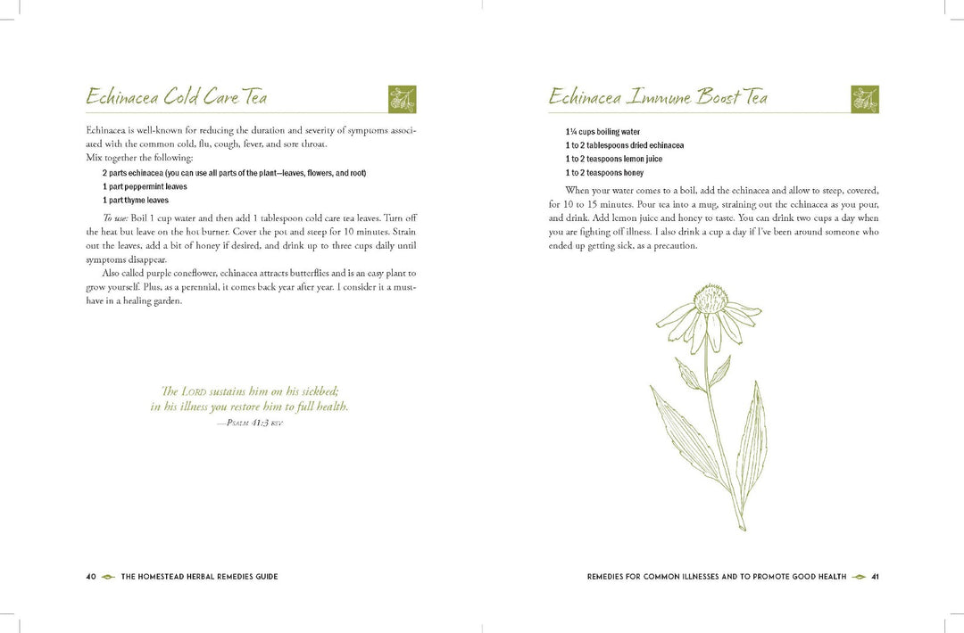 The Homestead Herbal Remedies Guide - Re-vived