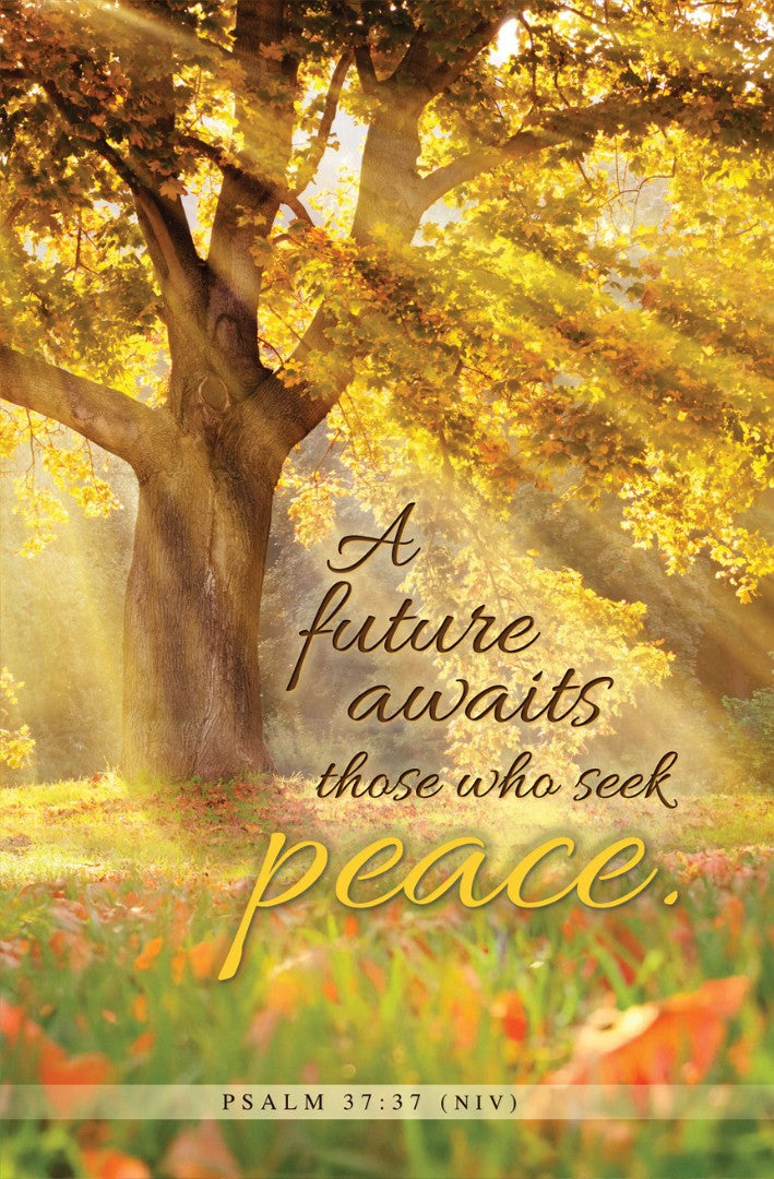 A Future Awaits Bulletin (pack of 100)