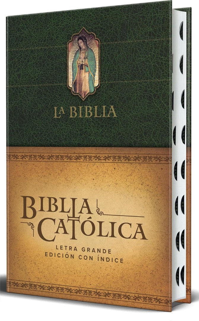 La Biblia CatóLica: EdicióN Letra Grande, Hc, Verde Con