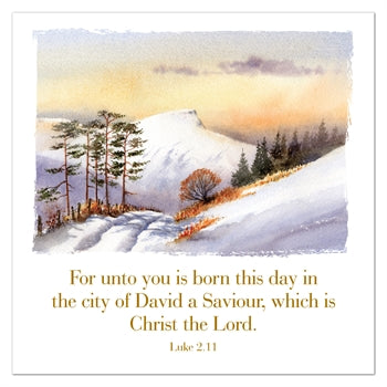 For Unto You is Born... Christmas Cards (pack of 6) - Re-vived