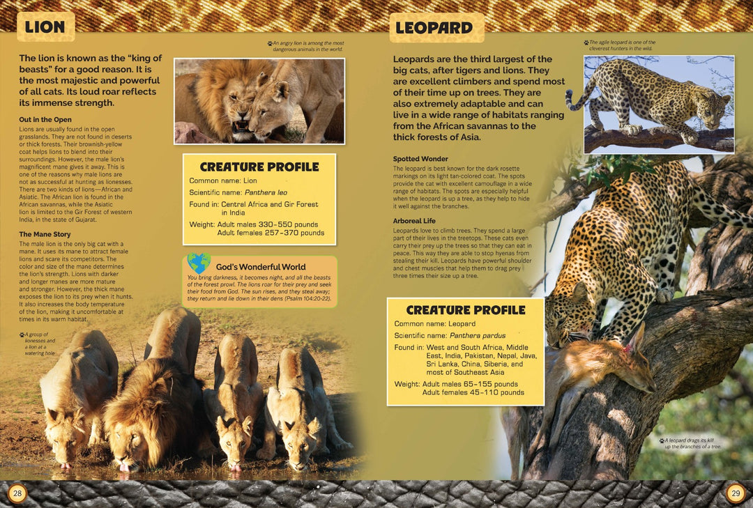 Let's Explore Amazing Animals - Re-vived