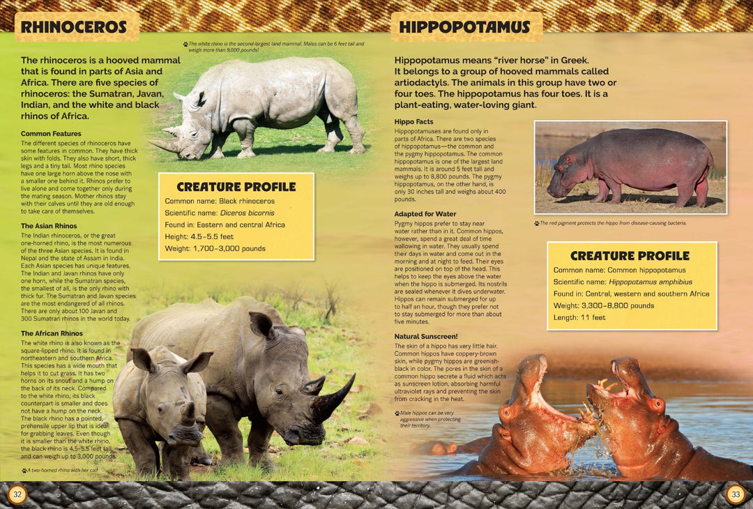Let's Explore Amazing Animals - Re-vived