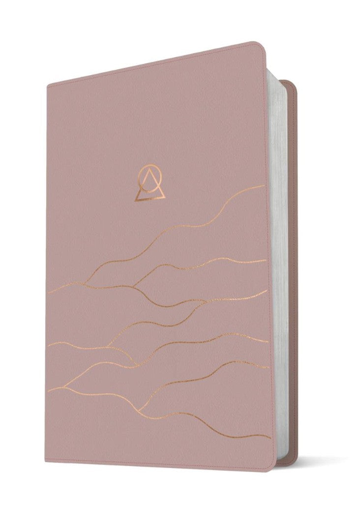Message Women's Devotional Bible Large Print, Dusty Blush