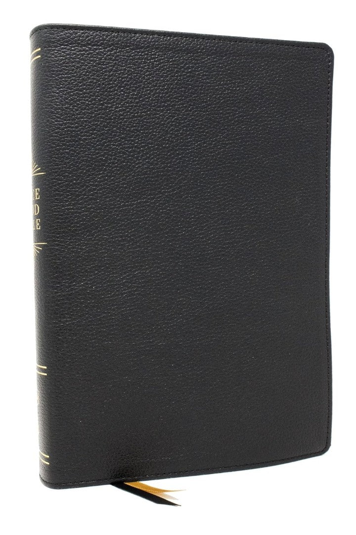 Peace Of God Bible