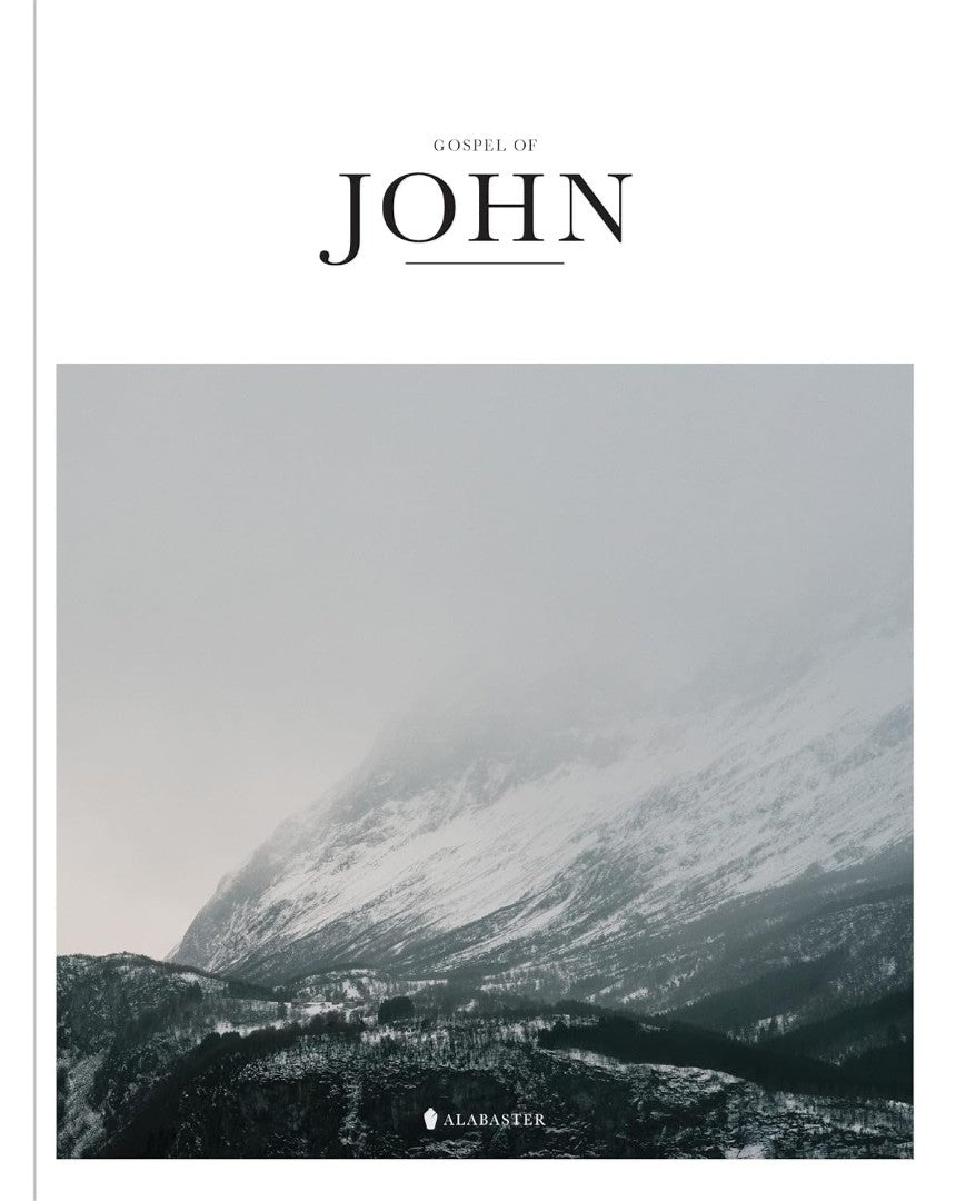 Gospel of John (KJV)
